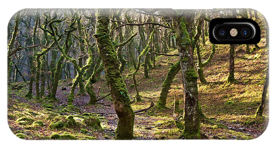 Exmoor iPhone X Case featuring the photograph Woods near Badgeworthy Water Exmoor by Pete Hemington