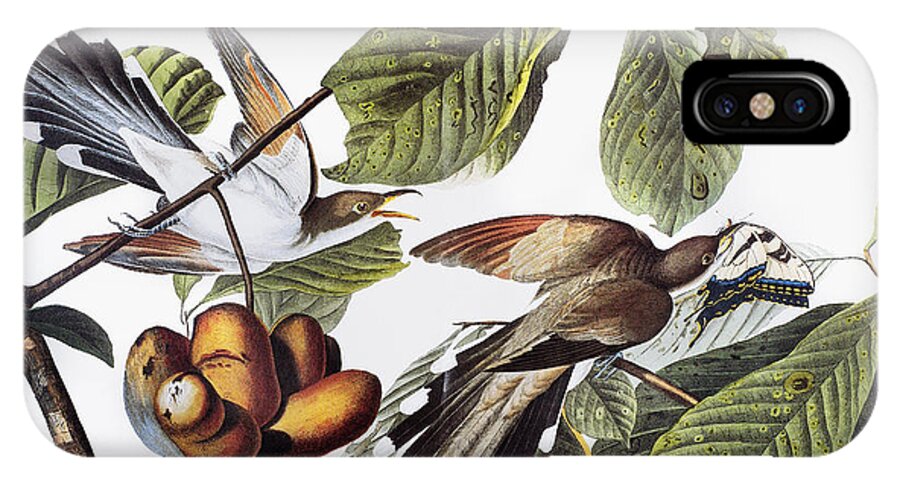 1827 iPhone X Case featuring the photograph Yellow-billed Cuckoo by Granger