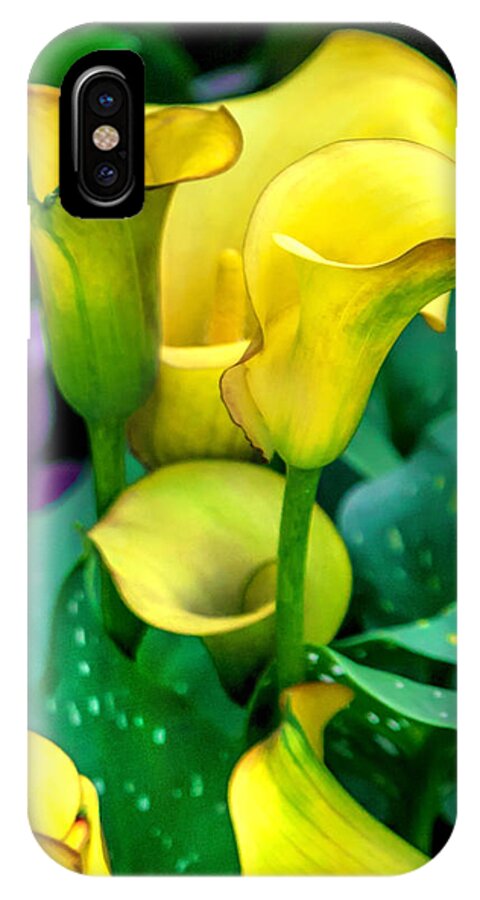 Spring Flowers iPhone X Case featuring the photograph Yellow Calla Lilies by Az Jackson