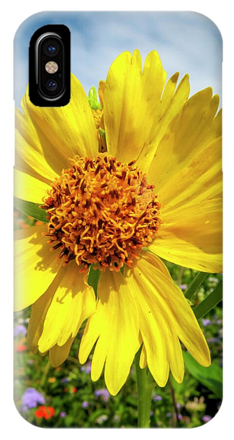 Flowers iPhone X Case featuring the photograph Yellow Flower by Daniel Murphy