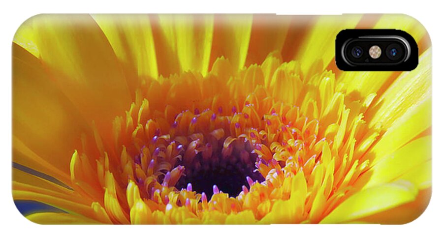 Yellow iPhone X Case featuring the photograph Yellow Joy And Inspiration by Johanna Hurmerinta
