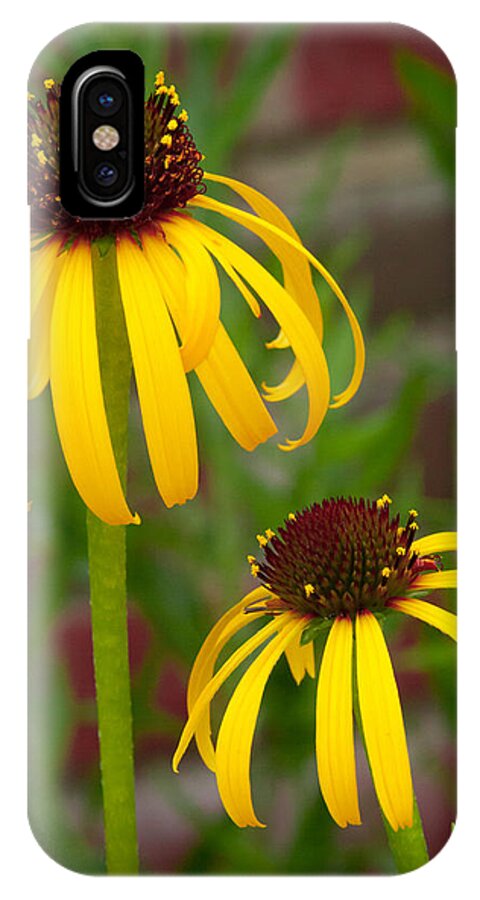 Botanical iPhone X Case featuring the photograph Yellow Pair by David Coblitz