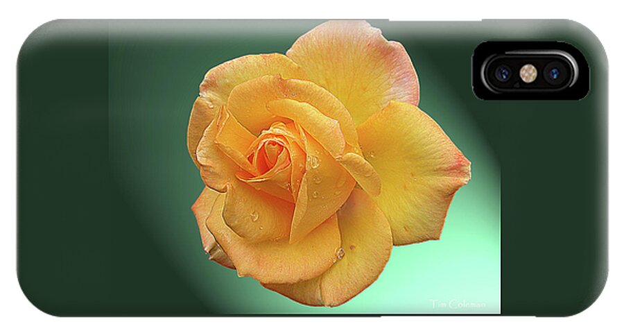 Yellow iPhone X Case featuring the photograph Yellow by Tim Coleman