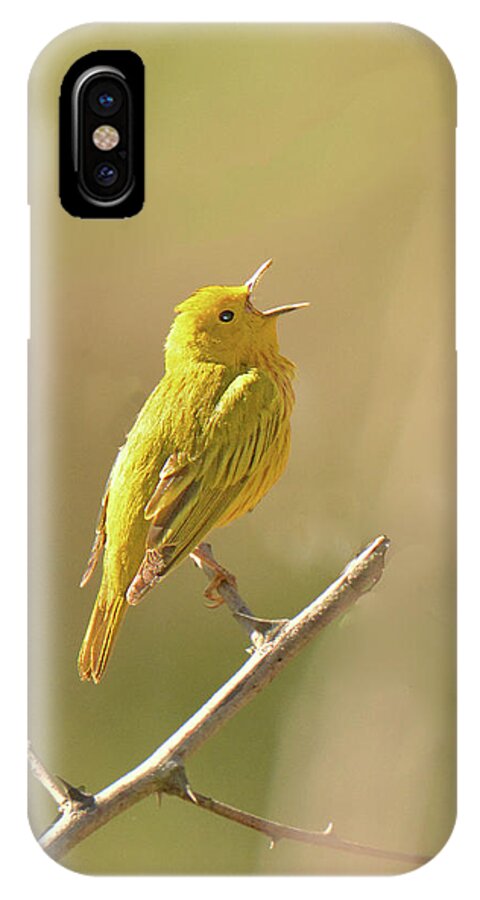 Bird iPhone X Case featuring the photograph Yellow Warbler Song by Alan Lenk