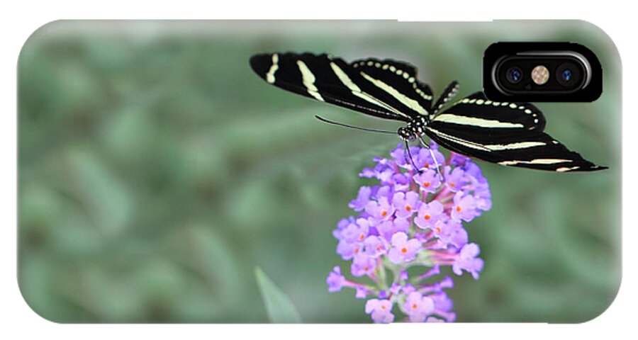 Nature iPhone X Case featuring the photograph Zebra Longwing Butterfly by Shelley Neff