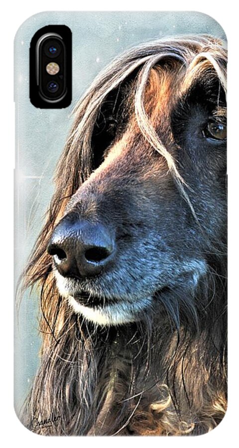 Afghan Hound iPhone X Case featuring the photograph The Diva #1 by Diane Chandler
