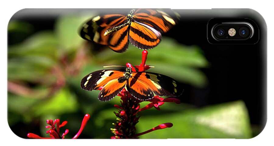Butterfly iPhone X Case featuring the photograph Butterfly #3 by Richard Krebs