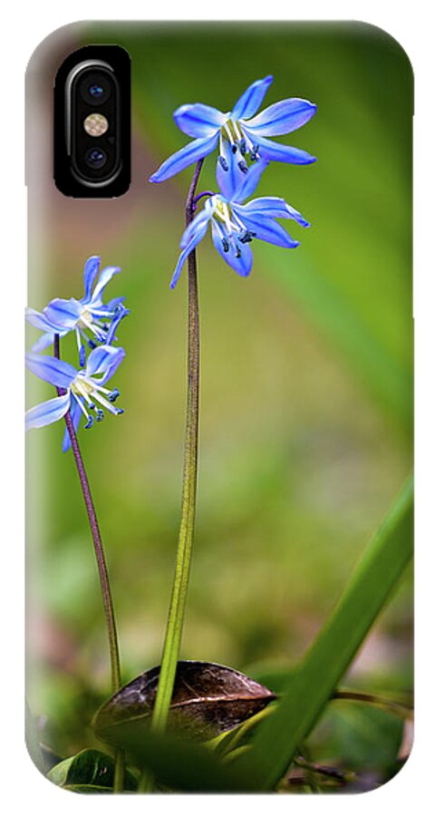 Tiny Blue Flowers iPhone X Case featuring the photograph Animated by Michelle Wermuth