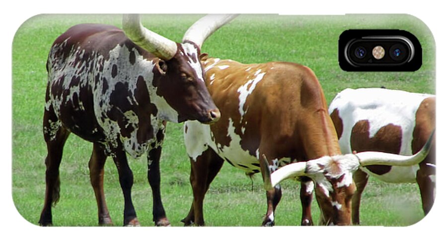 Ankole iPhone X Case featuring the photograph Ankole And Texas Longhorn Cattle by D Hackett