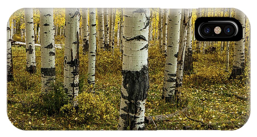 Aspens iPhone X Case featuring the photograph Aspens - 0245 by Jerry Owens