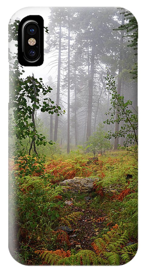 Autumn iPhone X Case featuring the photograph Autumn fog by Chance Kafka