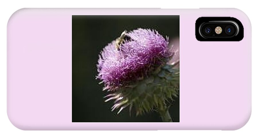 Bee IPhone X Case featuring the photograph Bee On Thistle by Nancy Ayanna Wyatt