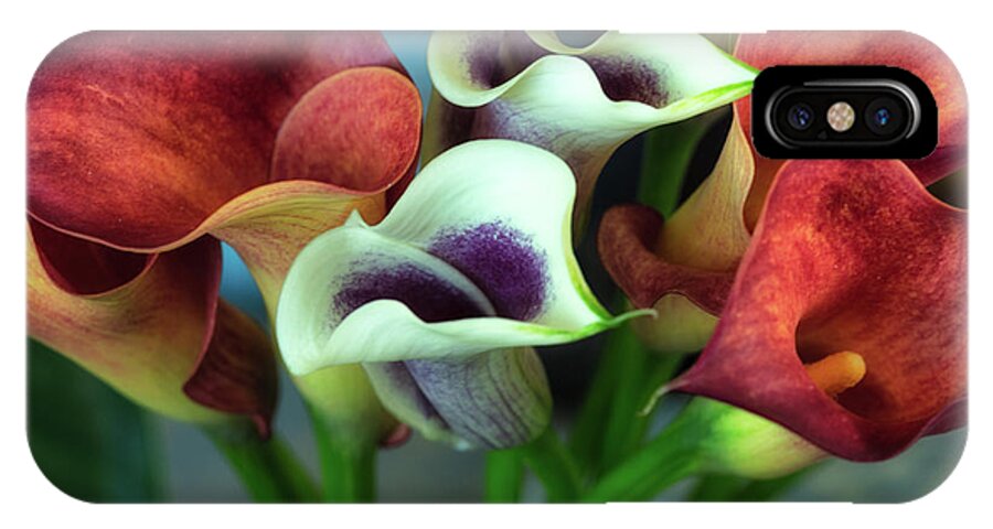 Calla iPhone X Case featuring the photograph Calla Lilies by Jade Moon