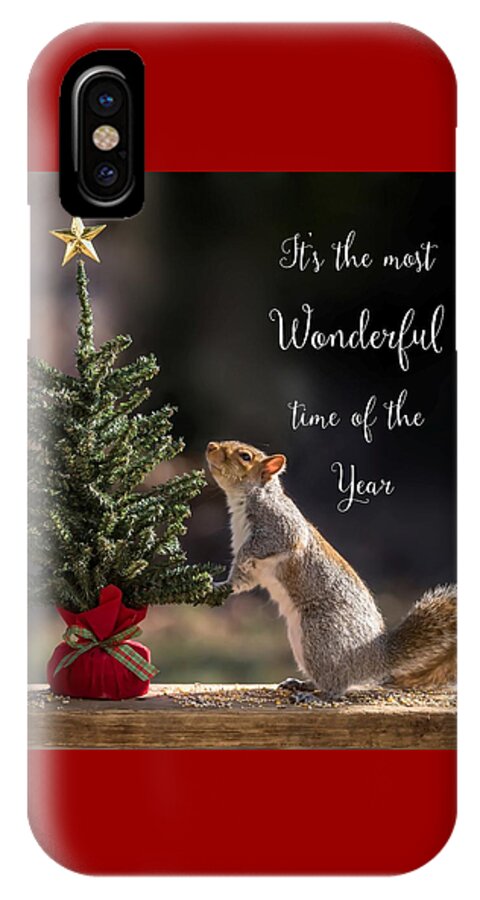 Terry D Photography iPhone X Case featuring the photograph Christmas Squirrel Most Wonderful Time of the Year Square by Terry DeLuco