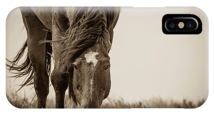 Wild Horses iPhone X Case featuring the photograph Closer by Mary Hone