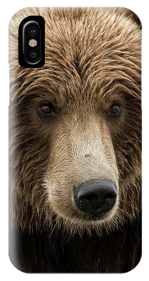 Wild iPhone X Case featuring the photograph Coastal Brown Bear closeup by Gary Langley