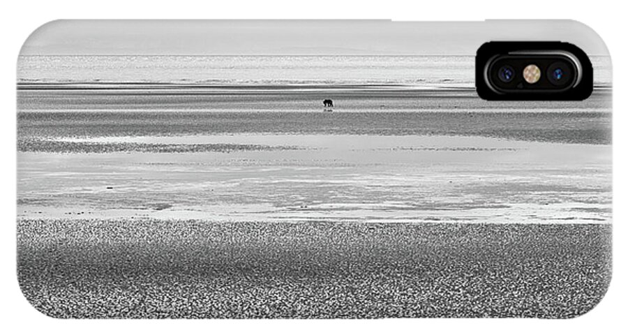 Bear iPhone X Case featuring the photograph Coastal Brown Bear on a Beach in Monochrome by Mark Hunter