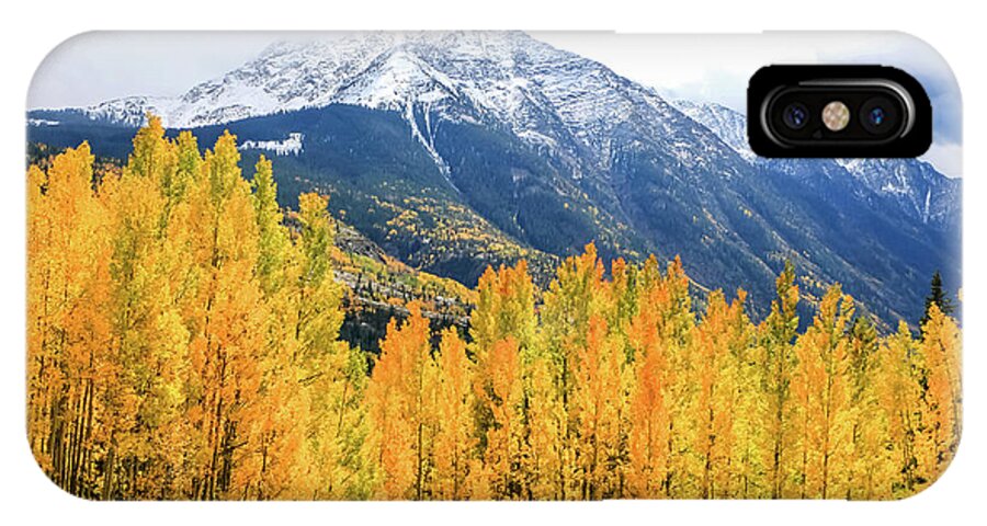 Aspen Tree iPhone X Case featuring the photograph Colorado Aspens and Mountains 2 by Dawn Richards