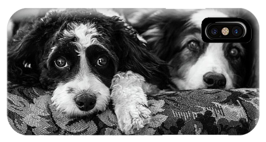 Dogs iPhone X Case featuring the photograph Couch Potatoes by Mike Long
