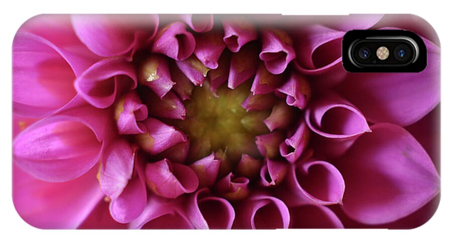 Flower iPhone X Case featuring the photograph Curled Up by Michelle Wermuth