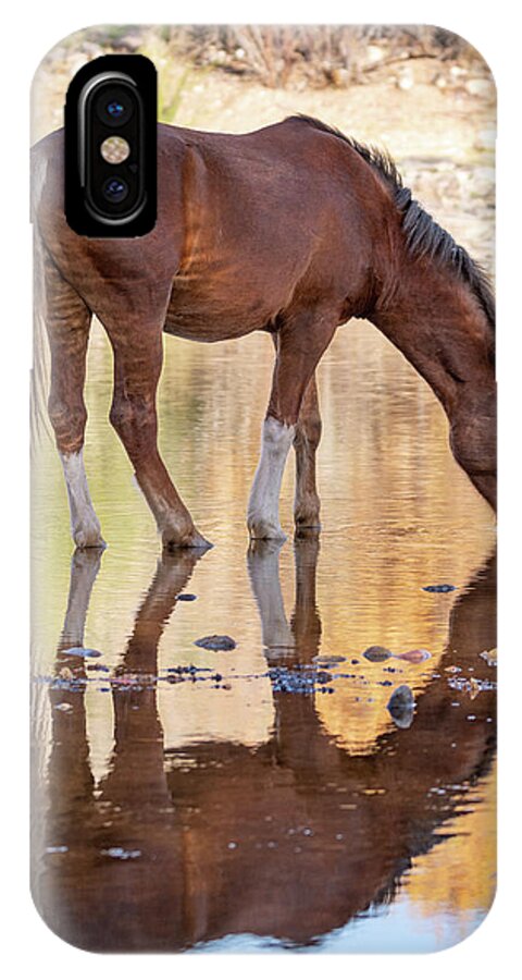 Wild Horses iPhone X Case featuring the photograph Evening reflections by Mary Hone