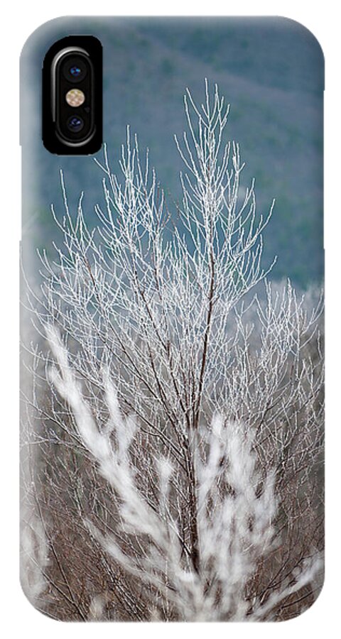 Blue Ridge iPhone X Case featuring the photograph Fingers of Hoarfrost by Mark Duehmig