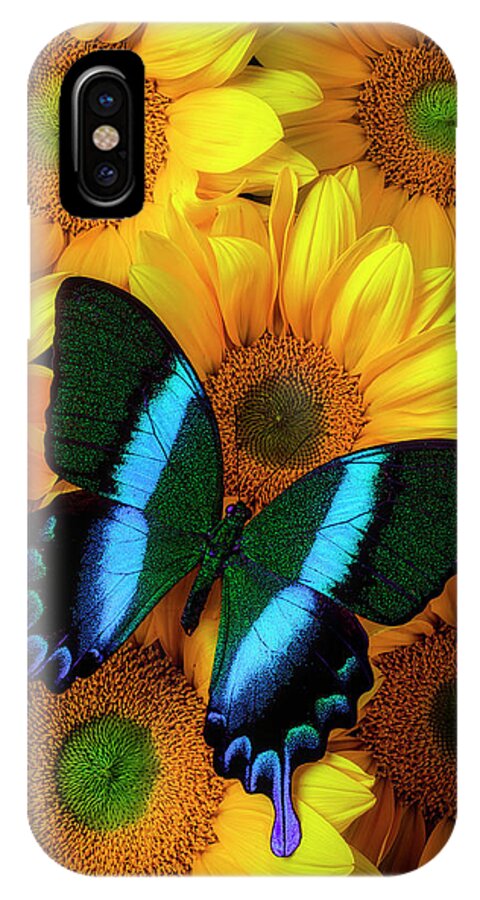 Stunning Blue Green iPhone X Case featuring the photograph Gorgeous Blue Green Butterfly by Garry Gay