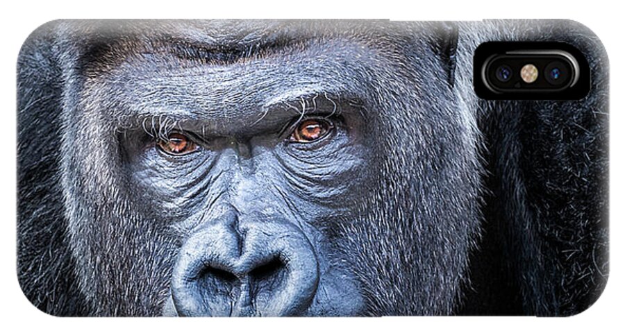 Gorillas iPhone X Case featuring the photograph Gorrilla by Robert Bellomy