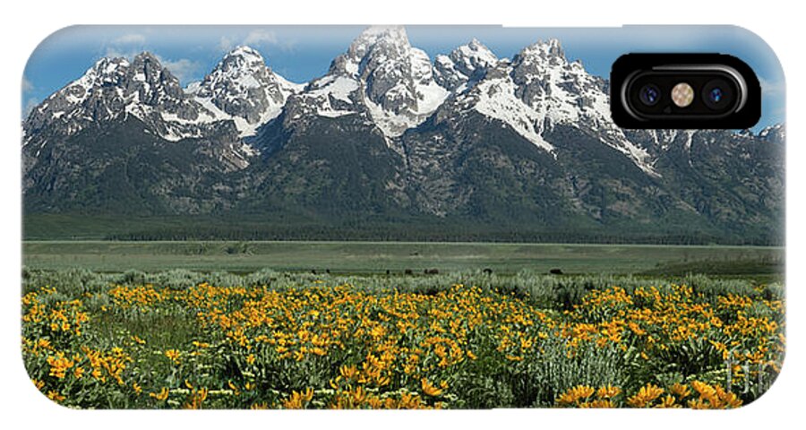 Landscapes iPhone X Case featuring the photograph Grand Teton Summer by Sandra Bronstein