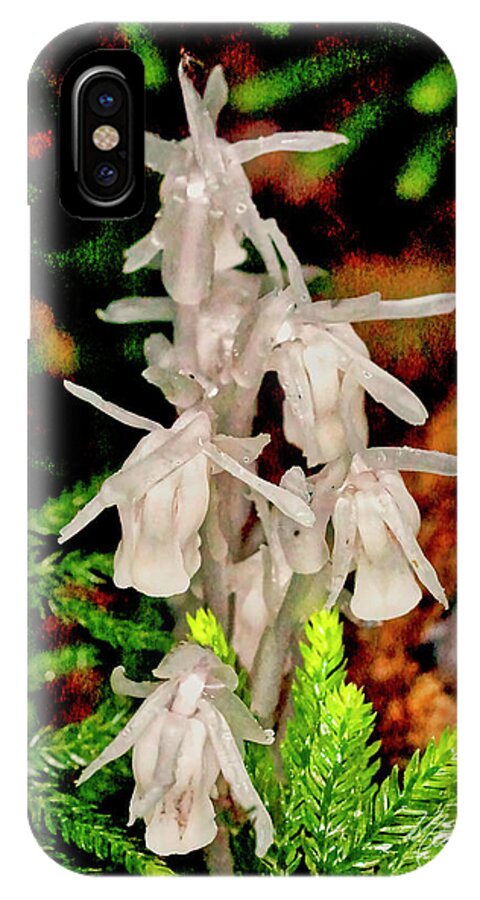 Macro Photography iPhone X Case featuring the photograph Indian Pipes On Club Moss by Meta Gatschenberger