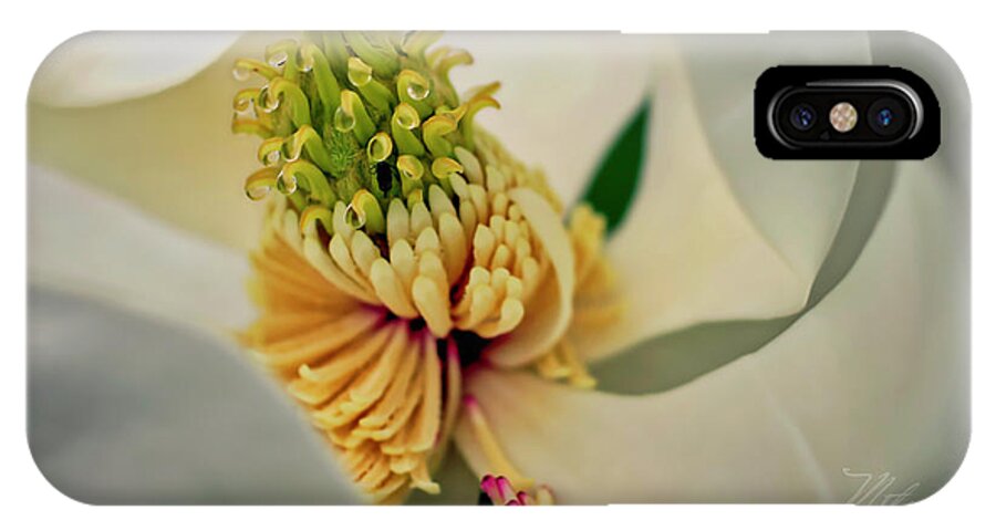 Macro Photography iPhone X Case featuring the photograph Magnolia Blossom by Meta Gatschenberger