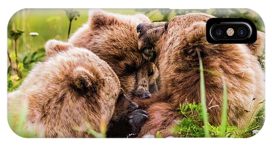Cub iPhone X Case featuring the photograph Mama bear nursing her two cubs, Lake Clark National Park, Alaska by Lyl Dil Creations
