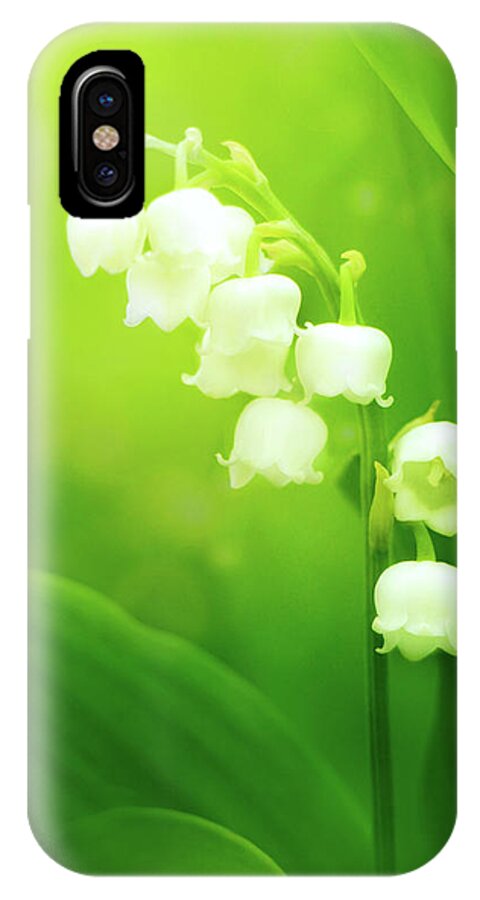 Lily Of The Valley iPhone X Case featuring the photograph Muguet Melody by Iryna Goodall