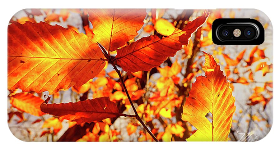 Fall iPhone X Case featuring the photograph Orange Fall Leaves by Meta Gatschenberger