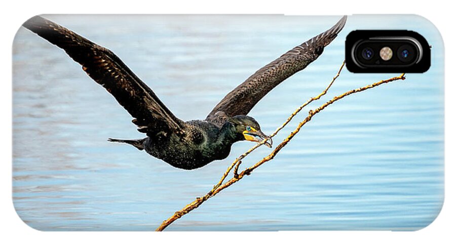 Cormorants iPhone X Case featuring the photograph Over-achieving cormorant by Judi Dressler