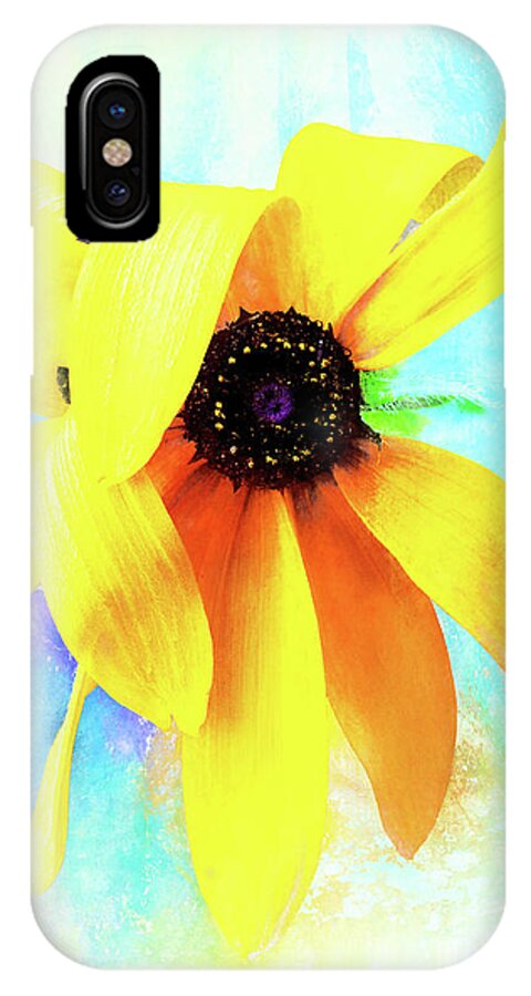 Black-eyed Susan iPhone X Case featuring the photograph Flopsy - A Charming Wild Black-Eyed Susan by Anita Pollak