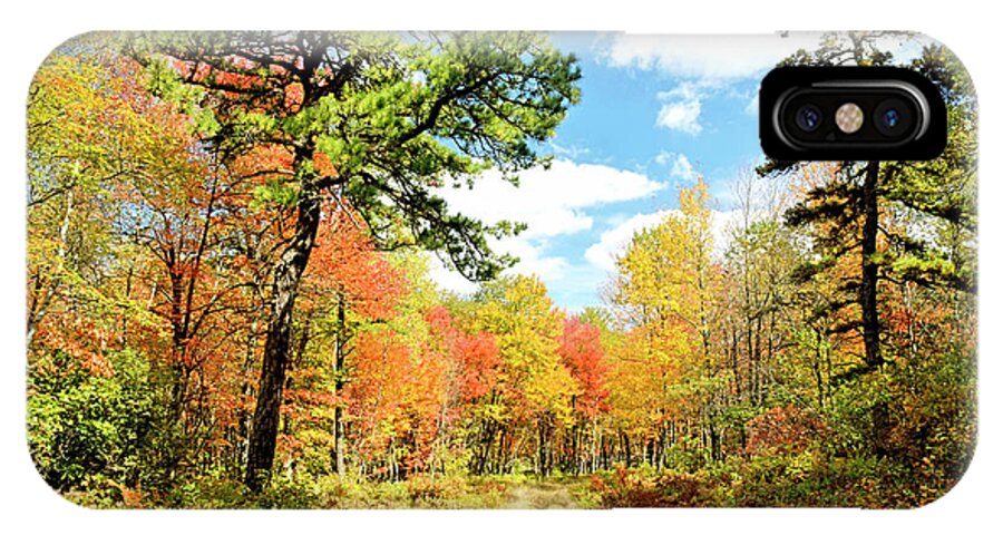 Color iPhone X Case featuring the photograph Pennsylvania Forest in Autumn, Pocono Mountains by A Macarthur Gurmankin