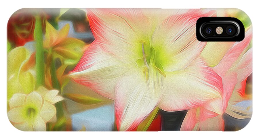 Lily iPhone X Case featuring the photograph Red and White Amaryllis by Sue Melvin