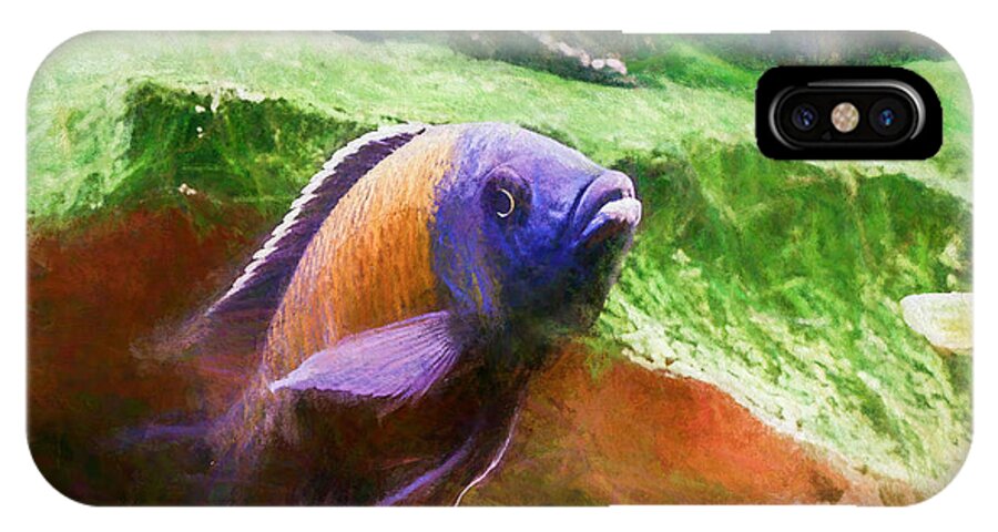 African Cichlid iPhone X Case featuring the digital art Red Fin Borleyi Cichlid Rising by Don Northup