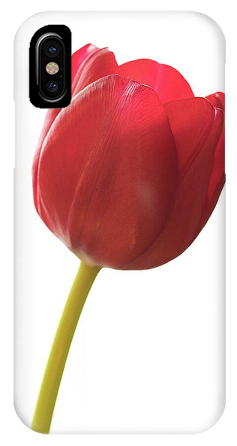 Tulip iPhone X Case featuring the photograph Red Tulip by Kevin Schwalbe