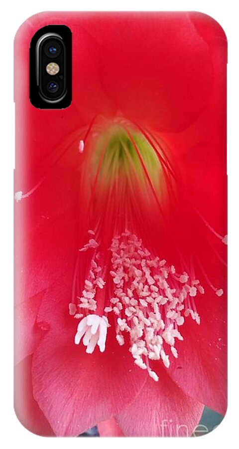Xmas iPhone X Case featuring the photograph Red Xmas Cactus by Paola Baroni