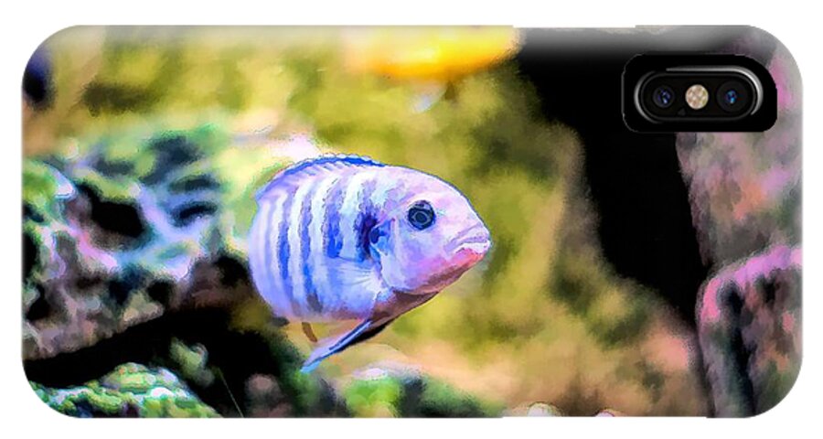 African Cichlid iPhone X Case featuring the digital art Rock Cichlid Blue Zebra by Don Northup