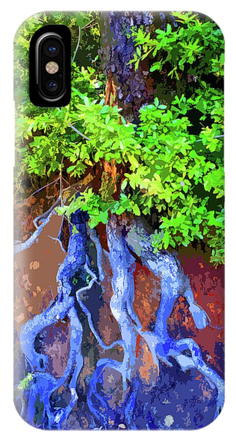 Art iPhone X Case featuring the photograph Roots of Life by Ben Upham III