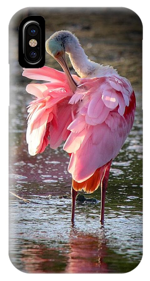 Tranquil iPhone X Case featuring the photograph Roseate Spoonbill by Susan Rydberg