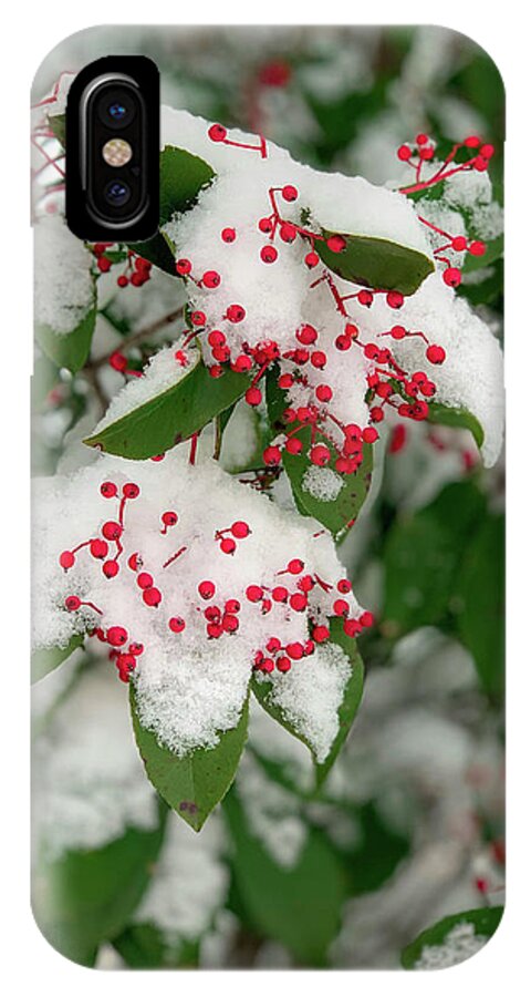 Winter iPhone X Case featuring the photograph Snow Covered Winter Berries by Lora J Wilson