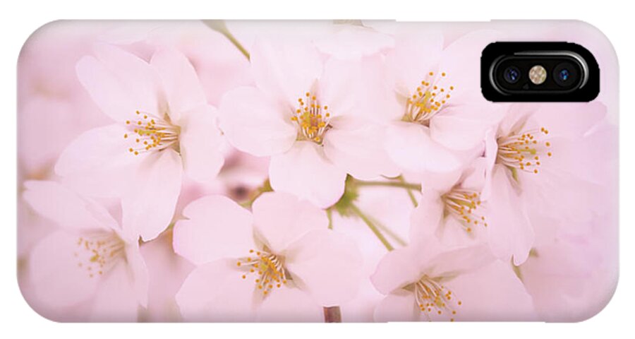 Soft Cherry Blossoms iPhone X Case featuring the photograph Soft Cherry Blossoms by Todd Henson