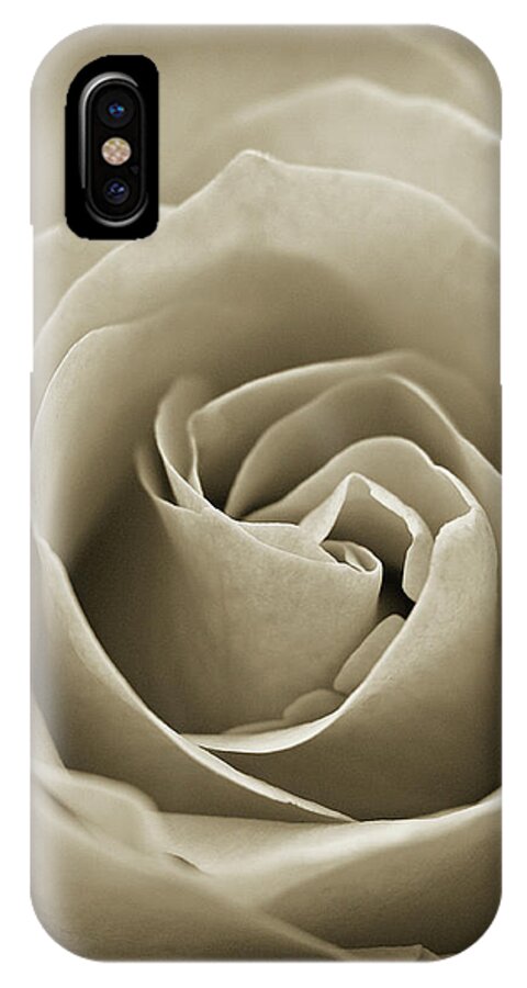 Sepia Rose iPhone X Case featuring the photograph Standard by Michelle Wermuth