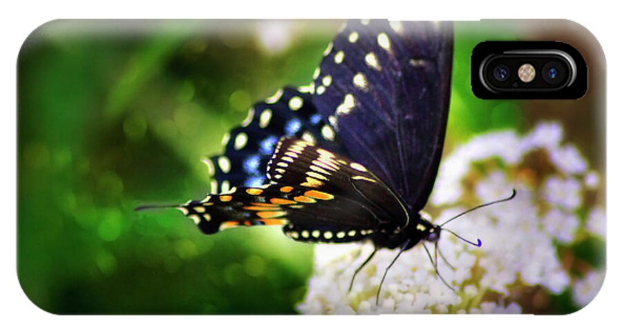 Butterfly iPhone X Case featuring the photograph Swallowtail Butterfly by Pheasant Run Gallery