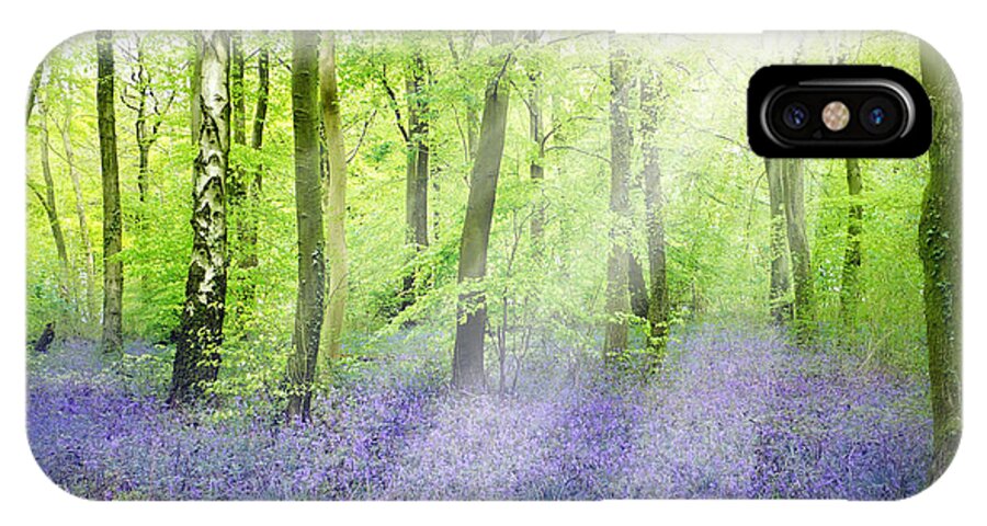 Bluebells iPhone X Case featuring the pyrography The Bluebell Woods by Morag Bates