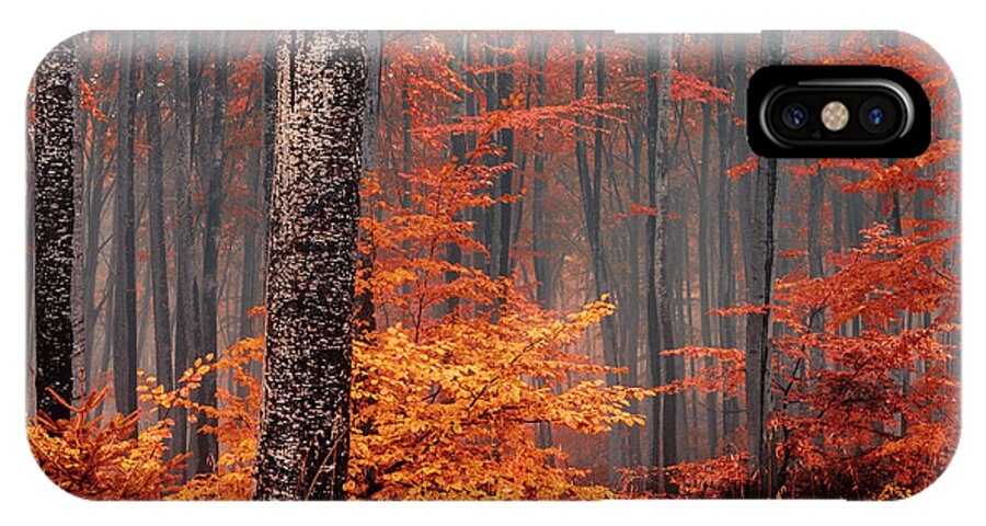 Mist iPhone X Case featuring the photograph Welcome To Orange Forest by Evgeni Dinev